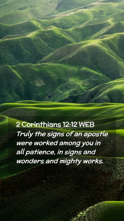 Picture 02 - 2 Corinthians 12:12 WEB Mobile Phone Wallpaper - Truly the signs of an apostle were worked among - Mobile Bible Verse Wallpaper