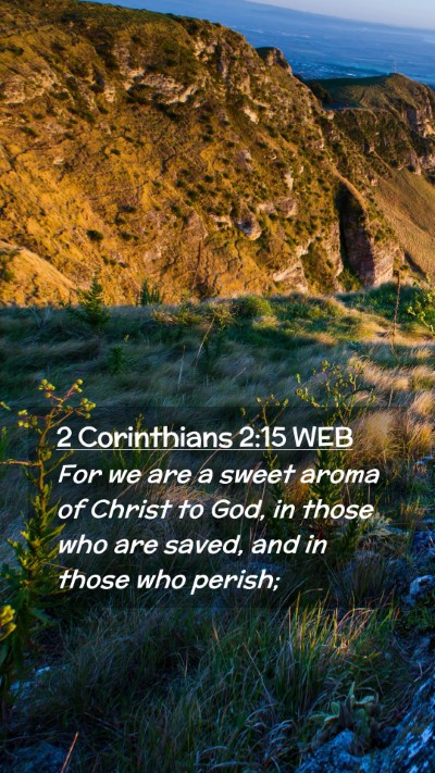 Picture 02 - 2 Corinthians 2:15 WEB Mobile Phone Wallpaper - For we are a sweet aroma of Christ to God, in - Mobile Bible Verse Wallpaper