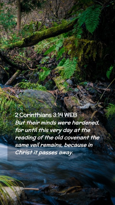Picture 02 - 2 Corinthians 3:14 WEB Mobile Phone Wallpaper - But their minds were hardened, for until this - Mobile Bible Verse Wallpaper