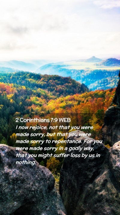 Picture 02 - 2 Corinthians 7:9 WEB Mobile Phone Wallpaper - I now rejoice, not that you were made sorry, but - Mobile Bible Verse Wallpaper
