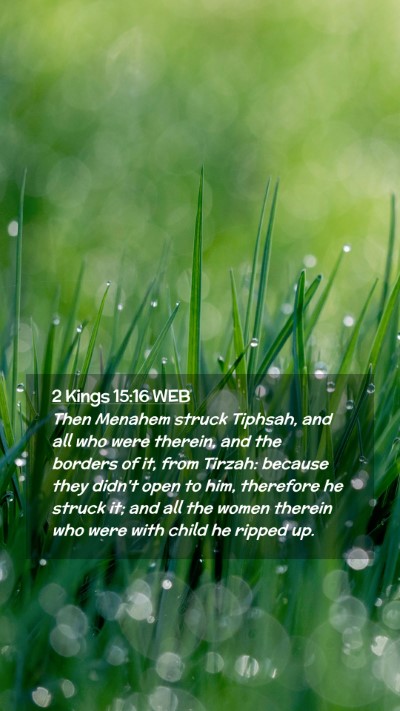 Picture 02 - 2 Kings 15:16 WEB Mobile Phone Wallpaper - Then Menahem struck Tiphsah, and all who were - Mobile Bible Verse Wallpaper