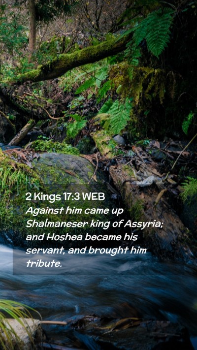 Picture 02 - 2 Kings 17:3 WEB Mobile Phone Wallpaper - Against him came up Shalmaneser king of Assyria; - Mobile Bible Verse Wallpaper