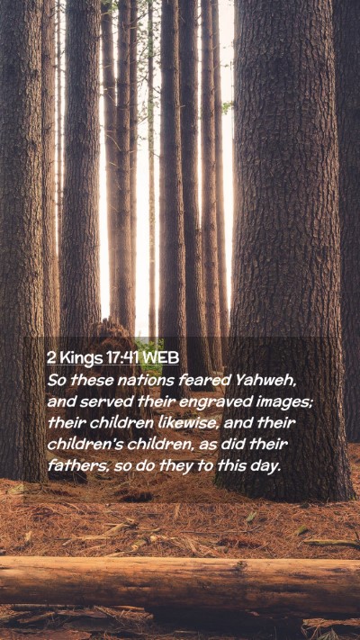 Picture 02 - 2 Kings 17:41 WEB Mobile Phone Wallpaper - So these nations feared Yahweh, and served their - Mobile Bible Verse Wallpaper