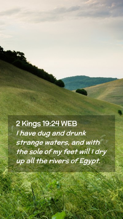 Picture 02 - 2 Kings 19:24 WEB Mobile Phone Wallpaper - I have dug and drunk strange waters, and with the - Mobile Bible Verse Wallpaper