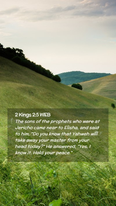 Picture 02 - 2 Kings 2:5 WEB Mobile Phone Wallpaper - The sons of the prophets who were at Jericho came - Mobile Bible Verse Wallpaper
