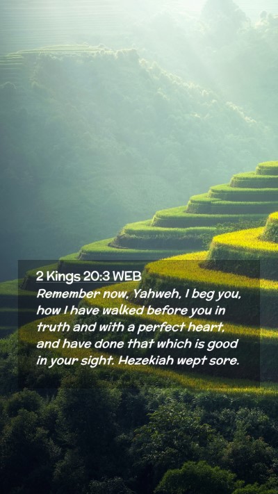 Picture 02 - 2 Kings 20:3 WEB Mobile Phone Wallpaper - Remember now, Yahweh, I beg you, how I have - Mobile Bible Verse Wallpaper