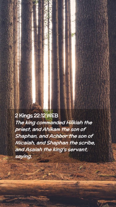 Picture 02 - 2 Kings 22:12 WEB Mobile Phone Wallpaper - The king commanded Hilkiah the priest, and Ahikam - Mobile Bible Verse Wallpaper