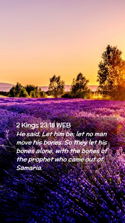 Picture 02 - 2 Kings 23:18 WEB Mobile Phone Wallpaper - He said, Let him be; let no man move his bones. - Mobile Bible Verse Wallpaper