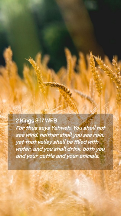 Picture 02 - 2 Kings 3:17 WEB Mobile Phone Wallpaper - For thus says Yahweh, You shall not see wind, - Mobile Bible Verse Wallpaper