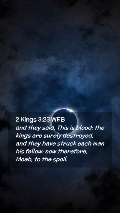 Picture 02 - 2 Kings 3:23 WEB Mobile Phone Wallpaper - and they said, This is blood; the kings are - Mobile Bible Verse Wallpaper