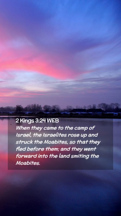 Picture 02 - 2 Kings 3:24 WEB Mobile Phone Wallpaper - When they came to the camp of Israel, the - Mobile Bible Verse Wallpaper
