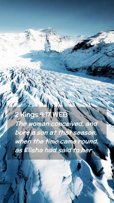 Picture 02 - 2 Kings 4:17 WEB Mobile Phone Wallpaper - The woman conceived, and bore a son at that - Mobile Bible Verse Wallpaper