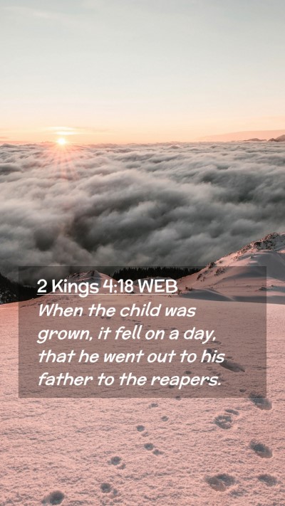 Picture 02 - 2 Kings 4:18 WEB Mobile Phone Wallpaper - When the child was grown, it fell on a day, that - Mobile Bible Verse Wallpaper