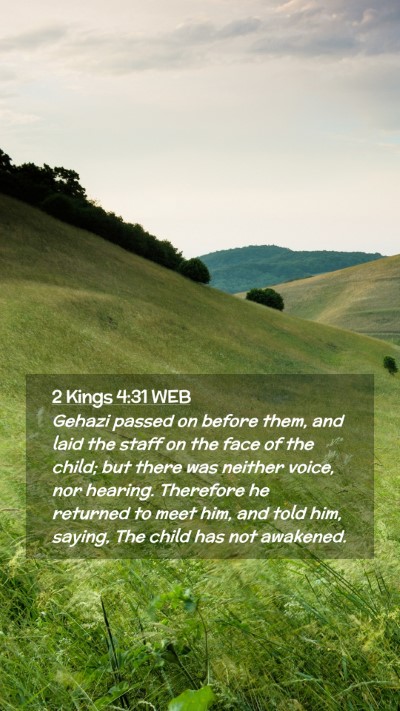 Picture 02 - 2 Kings 4:31 WEB Mobile Phone Wallpaper - Gehazi passed on before them, and laid the staff - Mobile Bible Verse Wallpaper