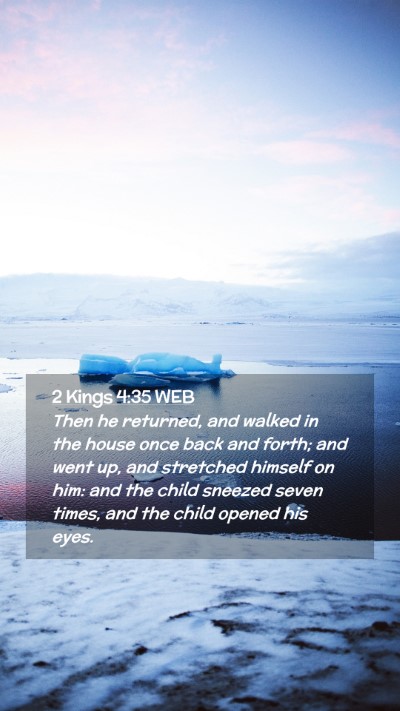 Picture 02 - 2 Kings 4:35 WEB Mobile Phone Wallpaper - Then he returned, and walked in the house once - Mobile Bible Verse Wallpaper