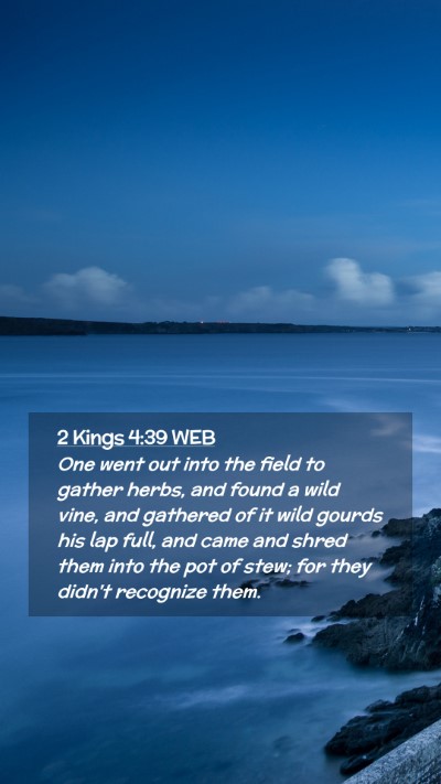 Picture 02 - 2 Kings 4:39 WEB Mobile Phone Wallpaper - One went out into the field to gather herbs, and - Mobile Bible Verse Wallpaper