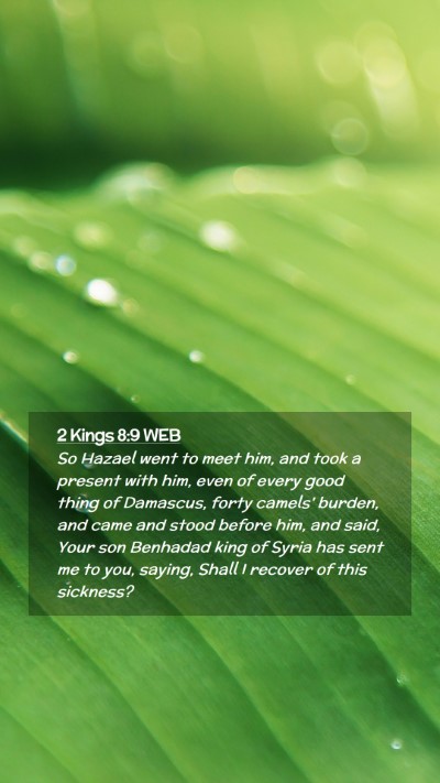 Picture 02 - 2 Kings 8:9 WEB Mobile Phone Wallpaper - So Hazael went to meet him, and took a present - Mobile Bible Verse Wallpaper