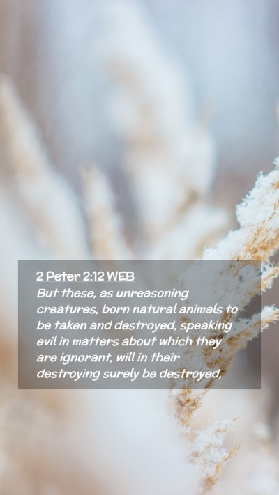Picture 02 - 2 Peter 2:12 WEB Mobile Phone Wallpaper - But these, as unreasoning creatures, born natural - Mobile Bible Verse Wallpaper