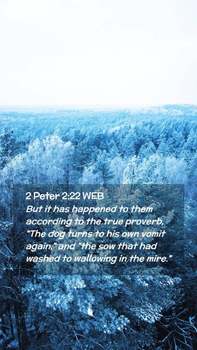 Picture 02 - 2 Peter 2:22 WEB Mobile Phone Wallpaper - But it has happened to them according to the true - Mobile Bible Verse Wallpaper