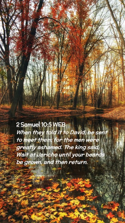Picture 02 - 2 Samuel 10:5 WEB Mobile Phone Wallpaper - When they told it to David, he sent to meet them; - Mobile Bible Verse Wallpaper