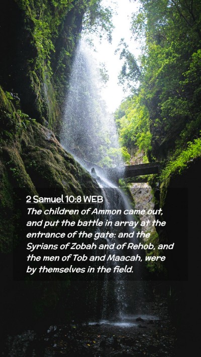 Picture 02 - 2 Samuel 10:8 WEB Mobile Phone Wallpaper - The children of Ammon came out, and put the - Mobile Bible Verse Wallpaper