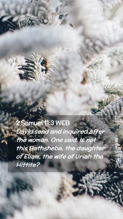 Picture 02 - 2 Samuel 11:3 WEB Mobile Phone Wallpaper - David send and inquired after the woman. One - Mobile Bible Verse Wallpaper