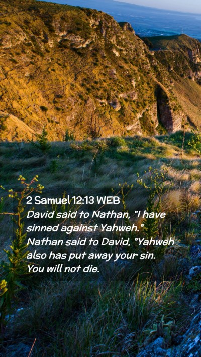 Picture 02 - 2 Samuel 12:13 WEB Mobile Phone Wallpaper - David said to Nathan, 