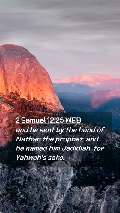 Picture 02 - 2 Samuel 12:25 WEB Mobile Phone Wallpaper - and he sent by the hand of Nathan the prophet; - Mobile Bible Verse Wallpaper