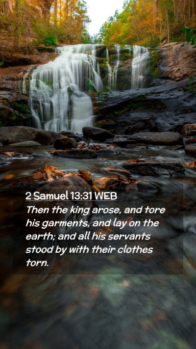 Picture 02 - 2 Samuel 13:31 WEB Mobile Phone Wallpaper - Then the king arose, and tore his garments, and - Mobile Bible Verse Wallpaper
