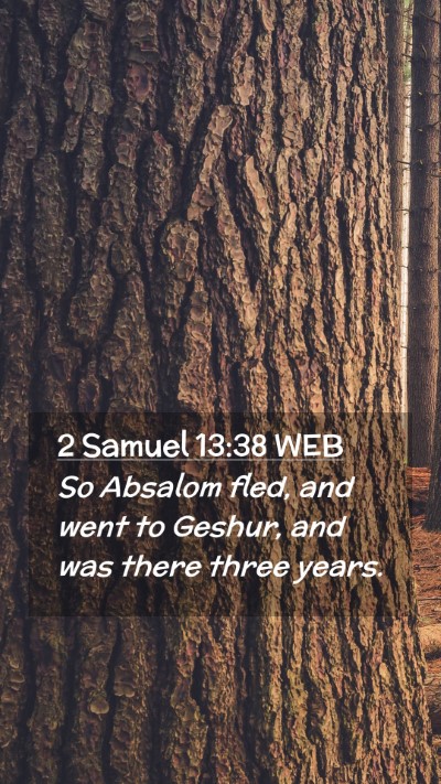 Picture 02 - 2 Samuel 13:38 WEB Mobile Phone Wallpaper - So Absalom fled, and went to Geshur, and was - Mobile Bible Verse Wallpaper