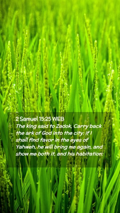 Picture 02 - 2 Samuel 15:25 WEB Mobile Phone Wallpaper - The king said to Zadok, Carry back the ark of God - Mobile Bible Verse Wallpaper