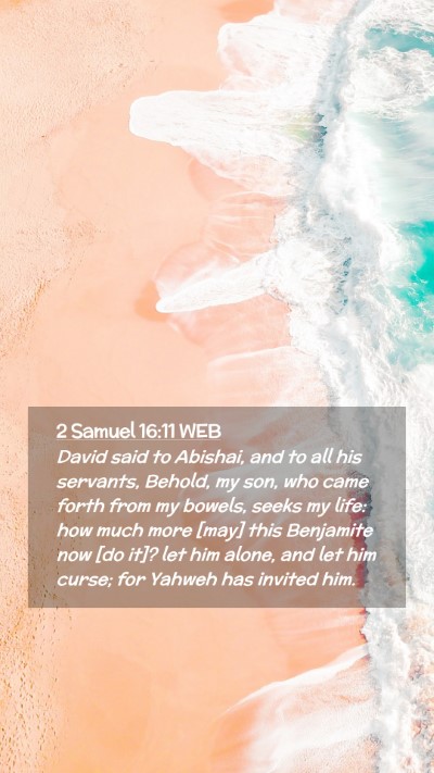 Picture 02 - 2 Samuel 16:11 WEB Mobile Phone Wallpaper - David said to Abishai, and to all his servants, - Mobile Bible Verse Wallpaper