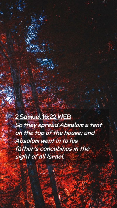 Picture 02 - 2 Samuel 16:22 WEB Mobile Phone Wallpaper - So they spread Absalom a tent on the top of the - Mobile Bible Verse Wallpaper
