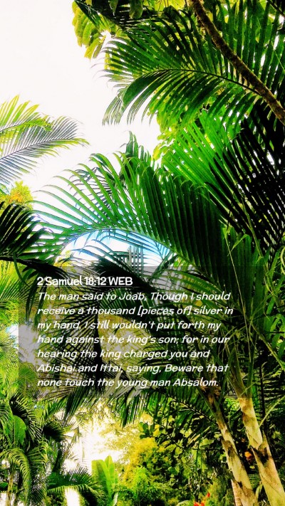 Picture 02 - 2 Samuel 18:12 WEB Mobile Phone Wallpaper - The man said to Joab, Though I should receive a - Mobile Bible Verse Wallpaper