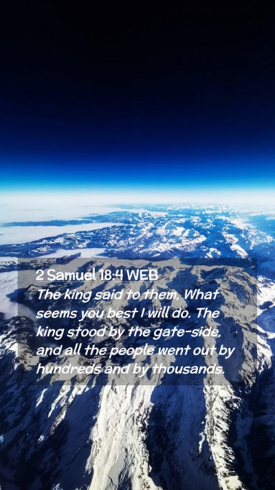 Picture 02 - 2 Samuel 18:4 WEB Mobile Phone Wallpaper - The king said to them, What seems you best I will - Mobile Bible Verse Wallpaper