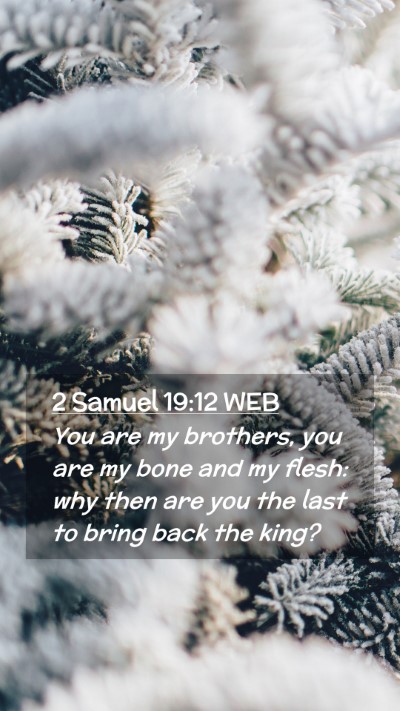Picture 02 - 2 Samuel 19:12 WEB Mobile Phone Wallpaper - You are my brothers, you are my bone and my - Mobile Bible Verse Wallpaper