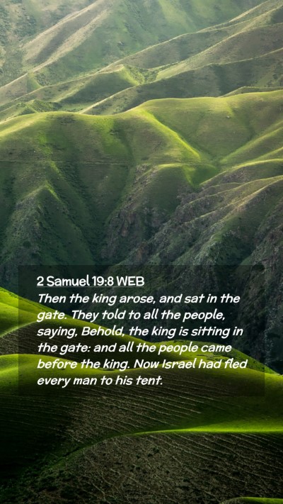 Picture 02 - 2 Samuel 19:8 WEB Mobile Phone Wallpaper - Then the king arose, and sat in the gate. They - Mobile Bible Verse Wallpaper