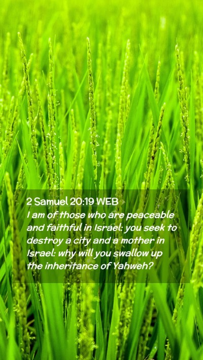Picture 02 - 2 Samuel 20:19 WEB Mobile Phone Wallpaper - I am of those who are peaceable and faithful in - Mobile Bible Verse Wallpaper