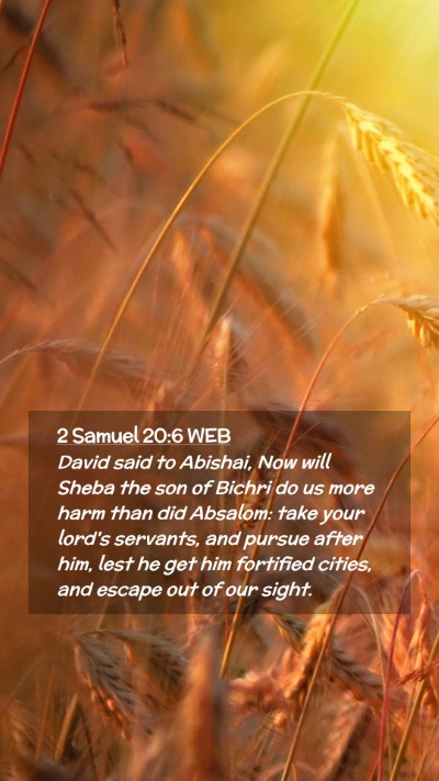 Picture 02 - 2 Samuel 20:6 WEB Mobile Phone Wallpaper - David said to Abishai, Now will Sheba the son of - Mobile Bible Verse Wallpaper