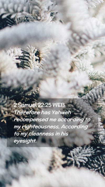 Picture 02 - 2 Samuel 22:25 WEB Mobile Phone Wallpaper - Therefore has Yahweh recompensed me according to - Mobile Bible Verse Wallpaper