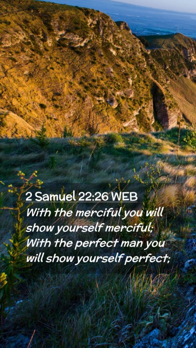 Picture 02 - 2 Samuel 22:26 WEB Mobile Phone Wallpaper - With the merciful you will show yourself - Mobile Bible Verse Wallpaper