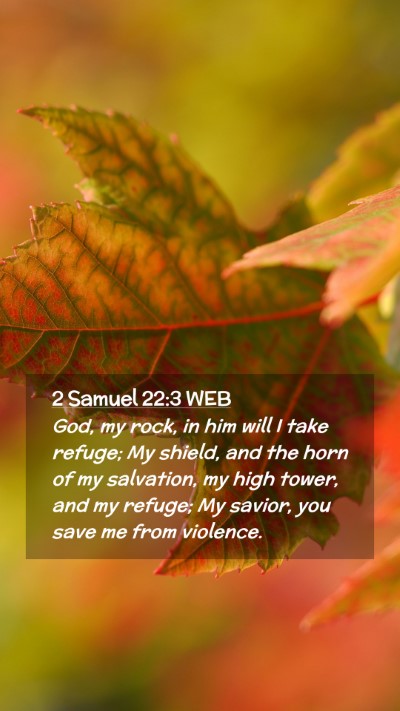 Picture 02 - 2 Samuel 22:3 WEB Mobile Phone Wallpaper - God, my rock, in him will I take refuge; My - Mobile Bible Verse Wallpaper