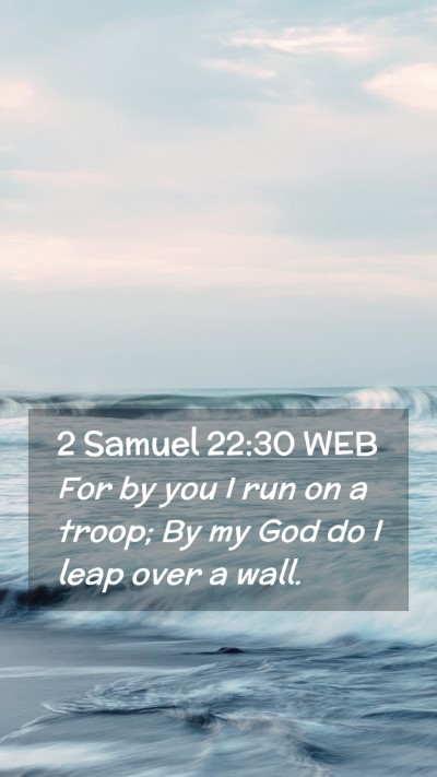 Picture 02 - 2 Samuel 22:30 WEB Mobile Phone Wallpaper - For by you I run on a troop; By my God do I leap - Mobile Bible Verse Wallpaper