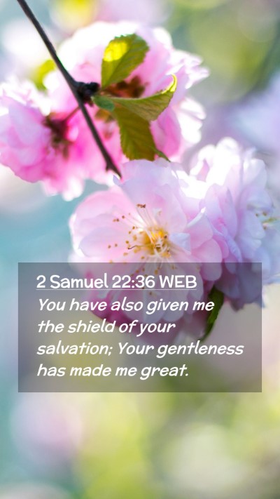 Picture 02 - 2 Samuel 22:36 WEB Mobile Phone Wallpaper - You have also given me the shield of your - Mobile Bible Verse Wallpaper