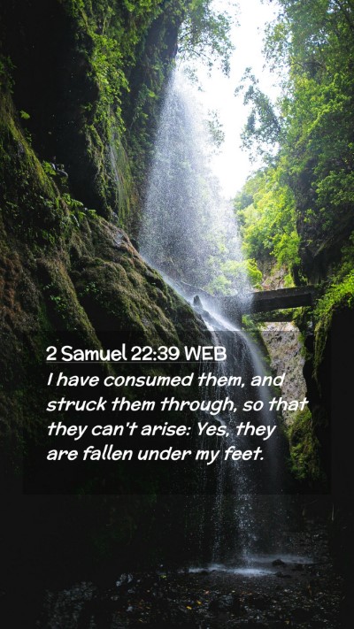 Picture 02 - 2 Samuel 22:39 WEB Mobile Phone Wallpaper - I have consumed them, and struck them through, so - Mobile Bible Verse Wallpaper