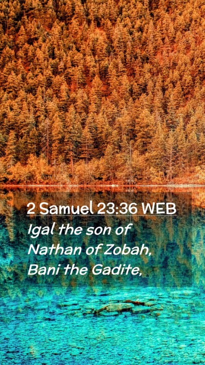 Picture 02 - 2 Samuel 23:36 WEB Mobile Phone Wallpaper - Igal the son of Nathan of Zobah, Bani the - Mobile Bible Verse Wallpaper