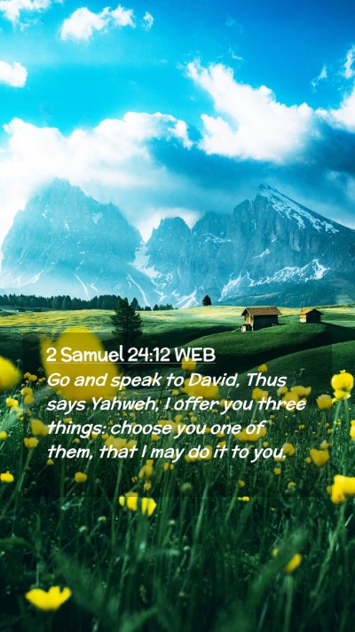 Picture 02 - 2 Samuel 24:12 WEB Mobile Phone Wallpaper - Go and speak to David, Thus says Yahweh, I offer - Mobile Bible Verse Wallpaper