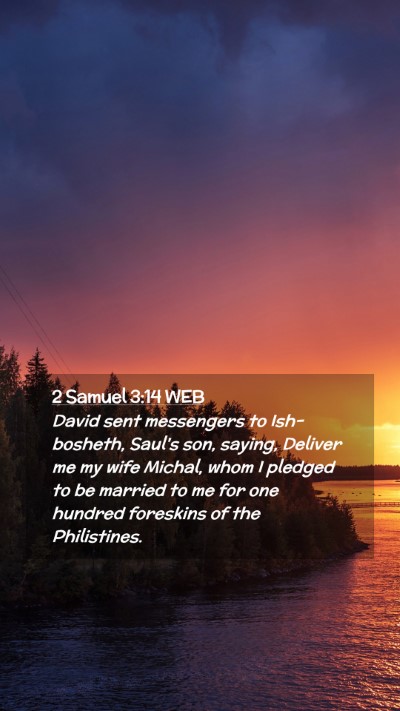 Picture 02 - 2 Samuel 3:14 WEB Mobile Phone Wallpaper - David sent messengers to Ish-bosheth, Saul's son, - Mobile Bible Verse Wallpaper