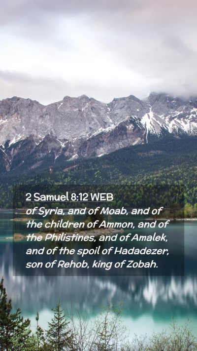 Picture 02 - 2 Samuel 8:12 WEB Mobile Phone Wallpaper - of Syria, and of Moab, and of the children of - Mobile Bible Verse Wallpaper