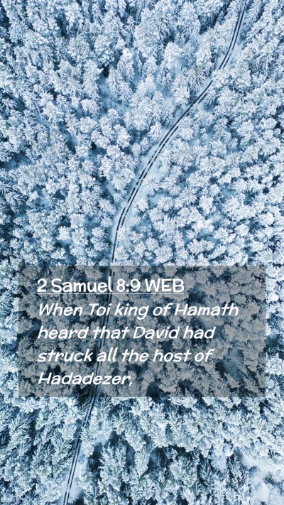 Picture 02 - 2 Samuel 8:9 WEB Mobile Phone Wallpaper - When Toi king of Hamath heard that David had - Mobile Bible Verse Wallpaper